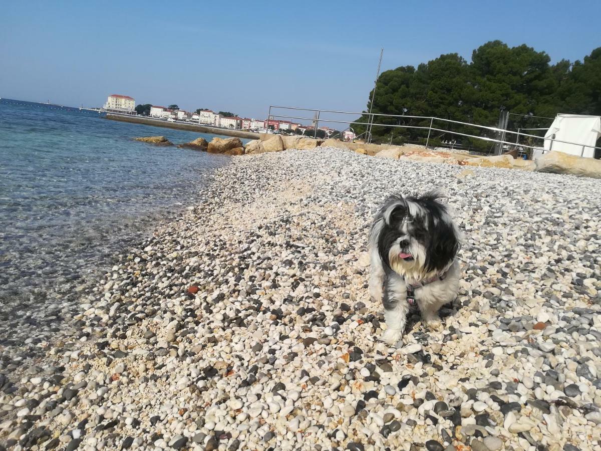 Apartmani Cupar Poreč Exteriör bild